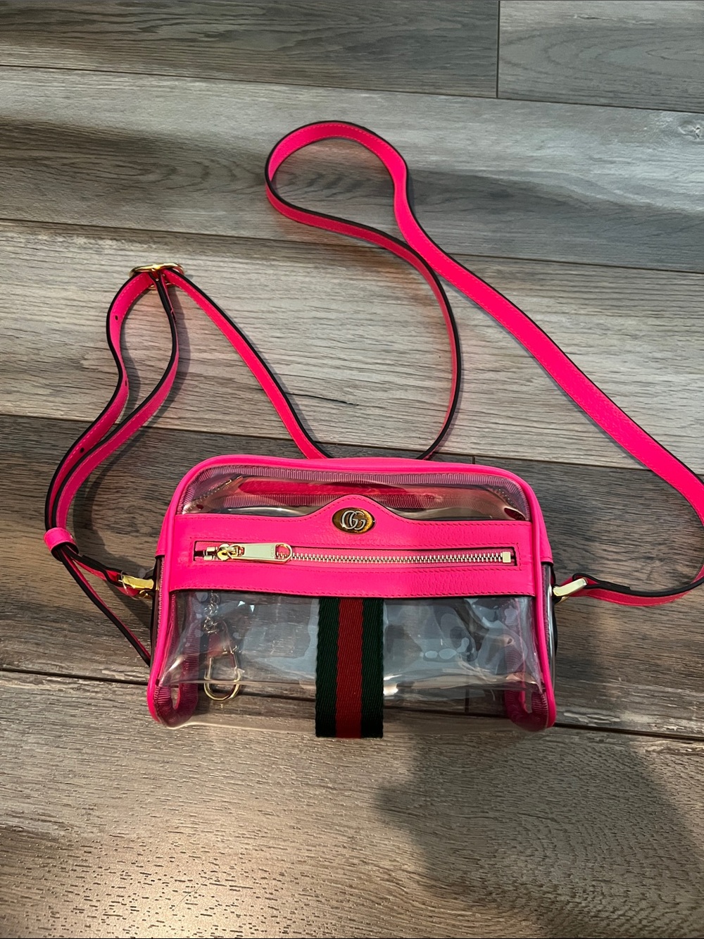 Gucci Hot Pink Clear Crossbody with Green-Red Stripe and Gold Hardware